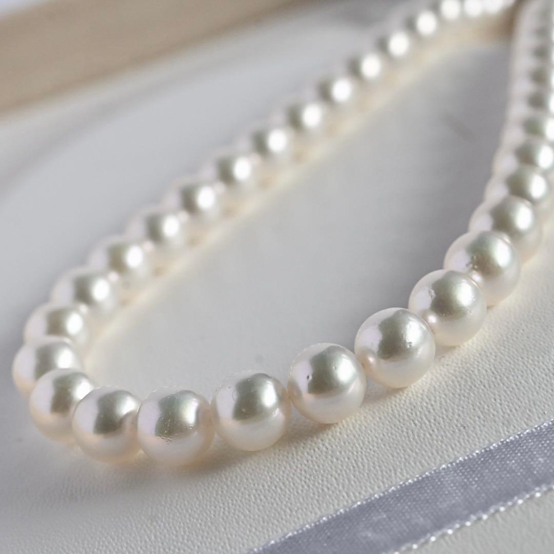 Takatsuki Akoya pearl necklace with 7.5mm round pearls and silver ribbon clasp on a white background