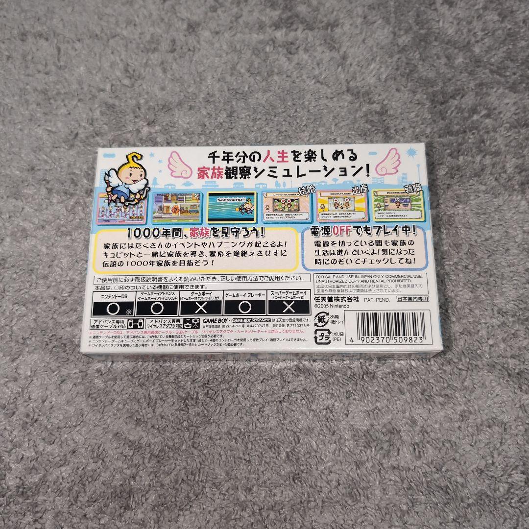 Chitose Family product showing overall condition with visible minor scratches from opening