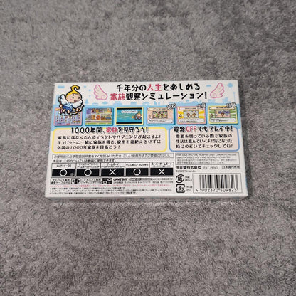 Chitose Family product showing overall condition with visible minor scratches from opening