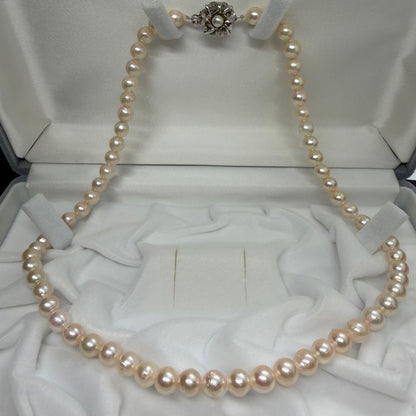 Akoya pearl necklace with 5.9mm to 6.3mm white pearls and silver hallmark clasp, 41.5cm length