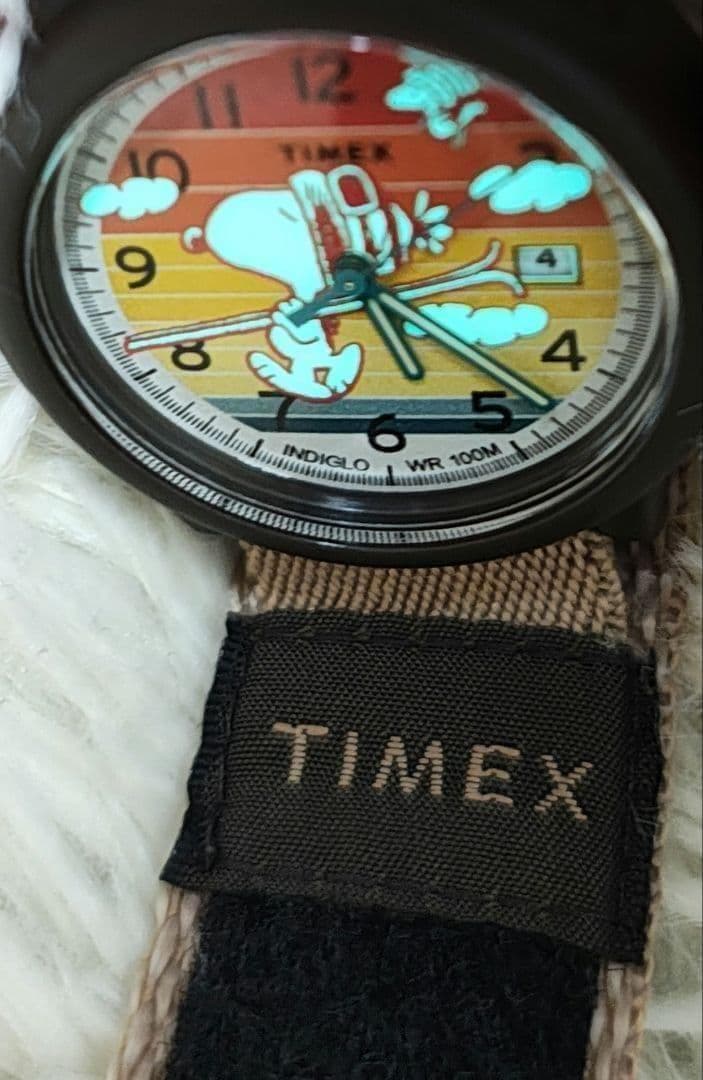 TIMEX PEANUTS CAMPER SKI Digital Men's Watch — Japanese