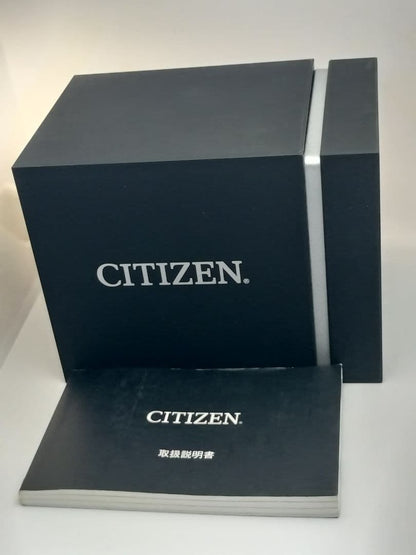 Citizen Promaster E660 Series Solar Men's Watch — Japanese