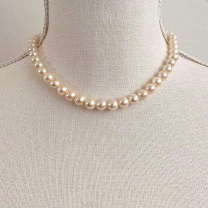 Akoya pearl white necklace with pearls sized 7.1 to 8.0mm and silver clasp, approximately 38cm long