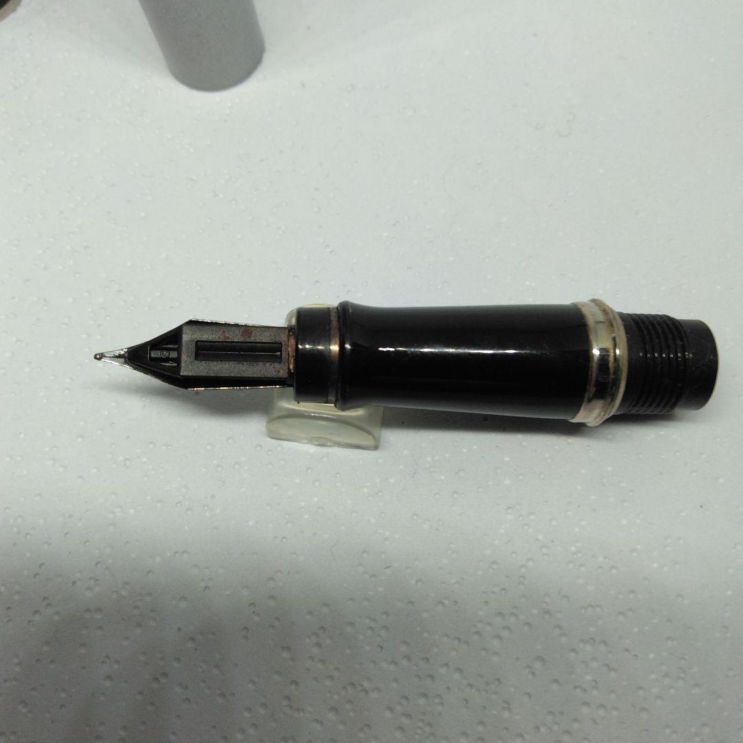 WATERMAN Silver fountain pen with dedicated case and instruction manual displayed