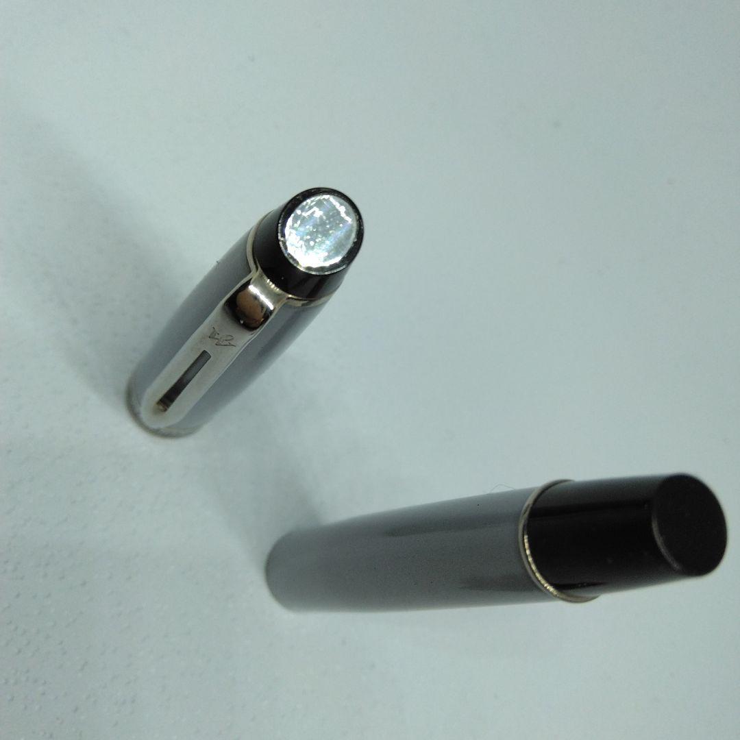 WATERMAN Silver fountain pen with dedicated case and instruction manual displayed