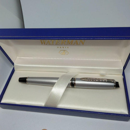 WATERMAN Silver fountain pen with dedicated case and instruction manual displayed