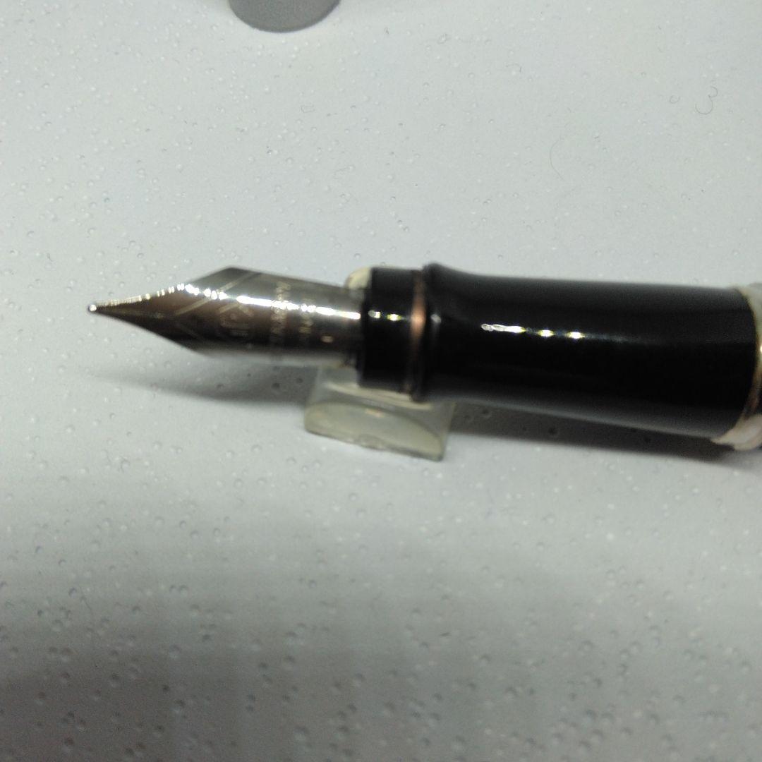WATERMAN Silver fountain pen with dedicated case and instruction manual displayed
