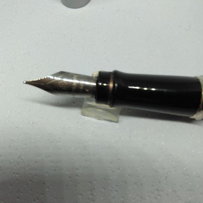 WATERMAN Silver fountain pen with dedicated case and instruction manual displayed