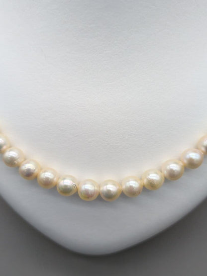 Akoya genuine pearl necklace with 7.5-8mm champagne yellow pearls, 42.8cm length