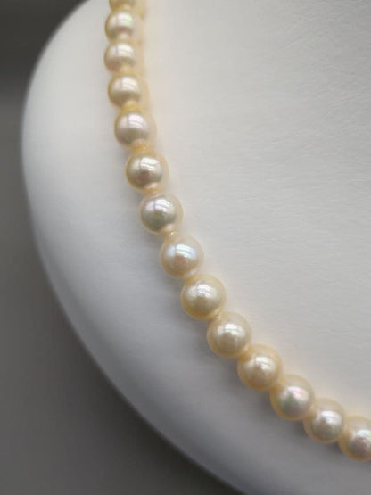 Akoya genuine pearl necklace with 7.5-8mm champagne yellow pearls, 42.8cm length