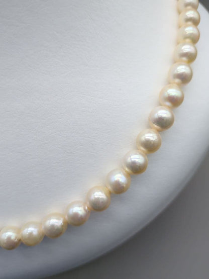 Akoya genuine pearl necklace with 7.5-8mm champagne yellow pearls, 42.8cm length