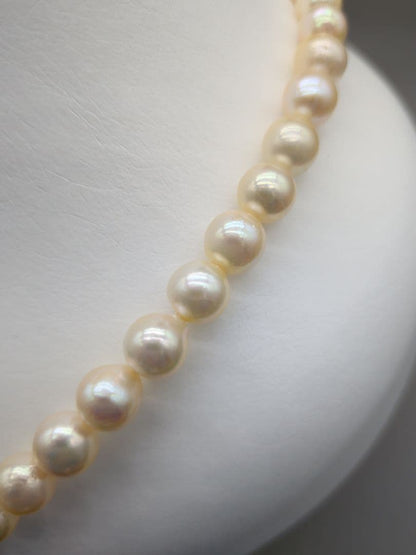 Akoya genuine pearl necklace with 7.5-8mm champagne yellow pearls, 42.8cm length