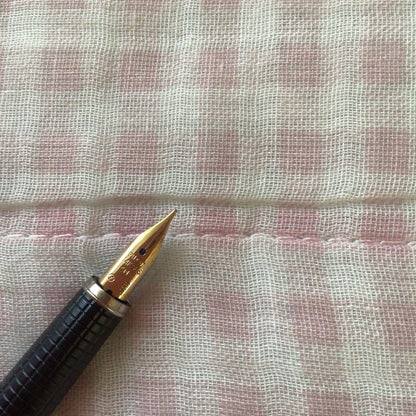 Pilot 14K gold fountain pen from R Series in silver finish, unopened with possible storage wear