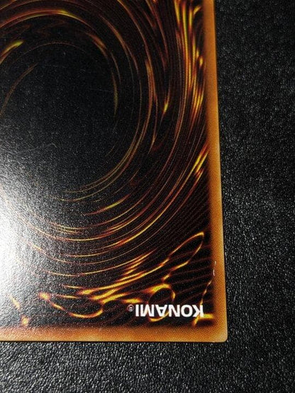 Yu-Gi-Oh Yu-Gi-Oh! Initial Booster Driad Common — Japanese