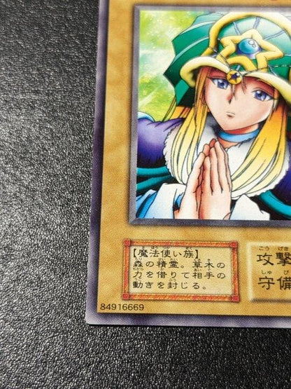 Yu-Gi-Oh Yu-Gi-Oh! Initial Booster Driad Common — Japanese
