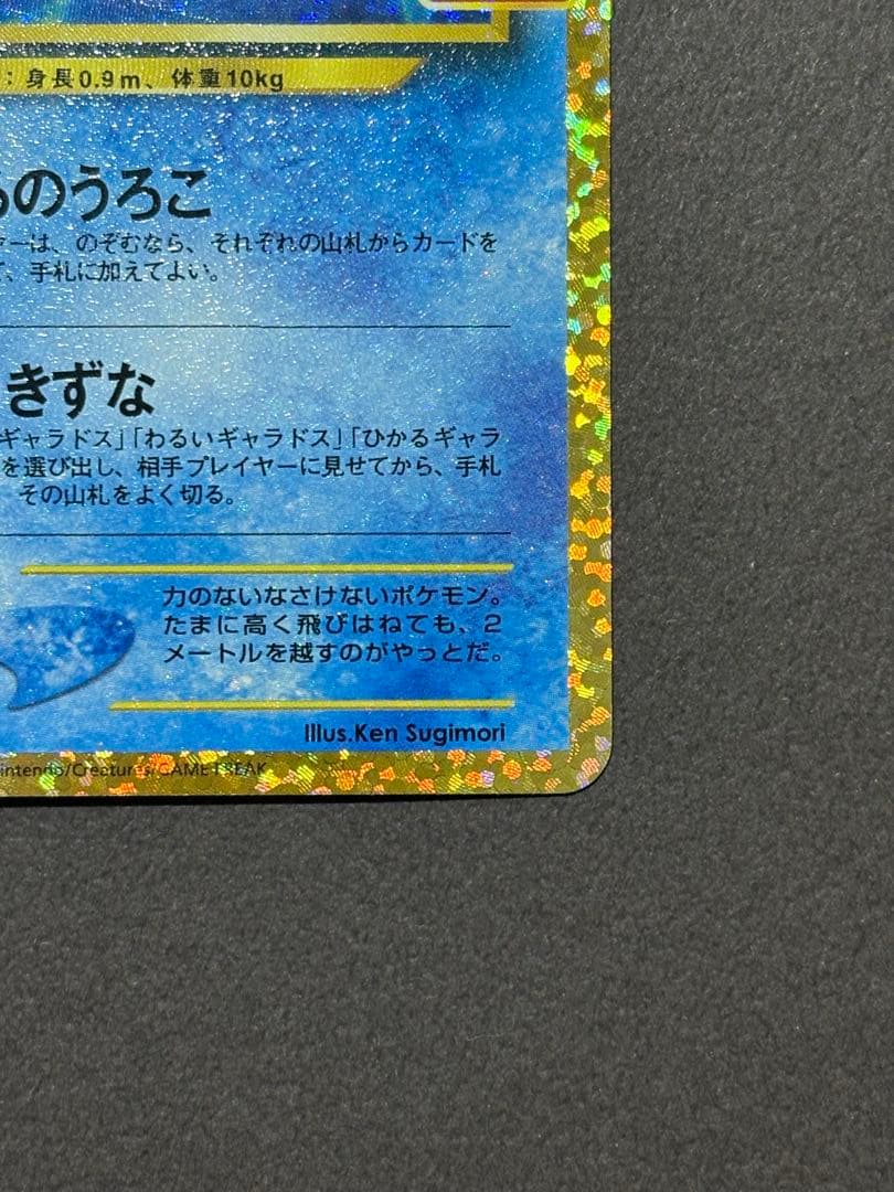 Pokemon Magikarp ANNIVERSARY — Japanese