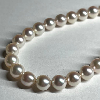 Akoya pearl necklace with 7.5-8.0mm white pearls and silver clasp displayed on white background