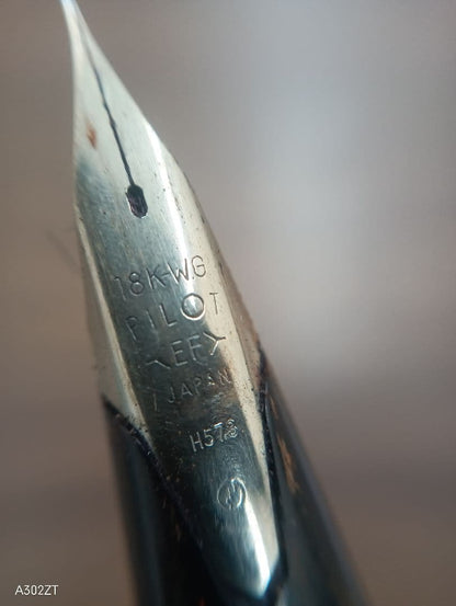 PILOT Custum Silver Stripe Fountain Pen with metal body and K18WG gold tip