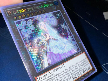 Yu-Gi-Oh Raiden, the Ajani's Captain — Japanese