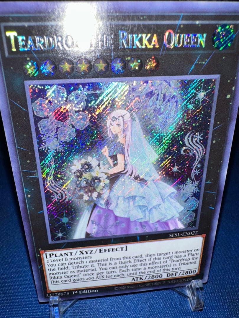Yu-Gi-Oh Raiden, the Ajani's Captain — Japanese