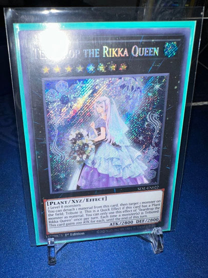 Yu-Gi-Oh Raiden, the Ajani's Captain — Japanese