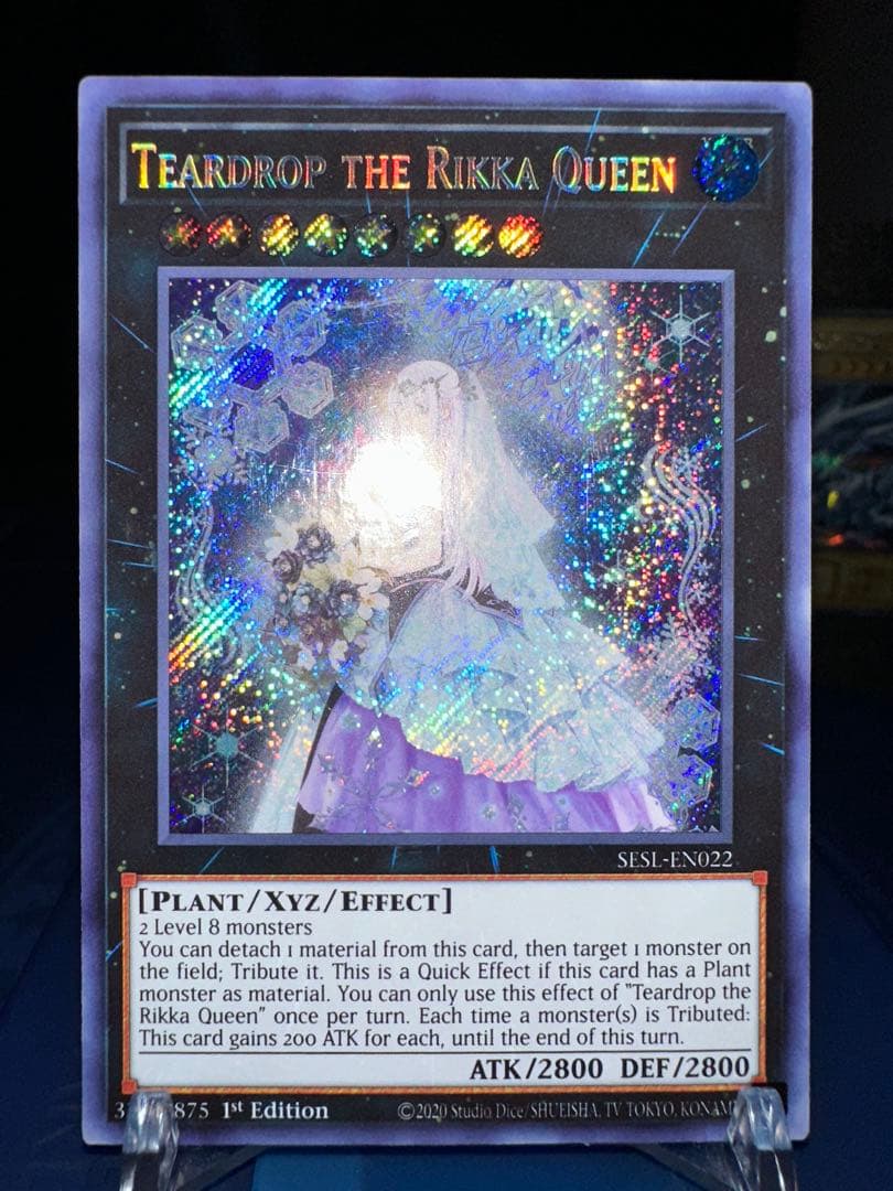Yu-Gi-Oh Raiden, the Ajani's Captain — Japanese