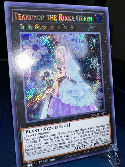 Yu-Gi-Oh Raiden, the Ajani's Captain — Japanese