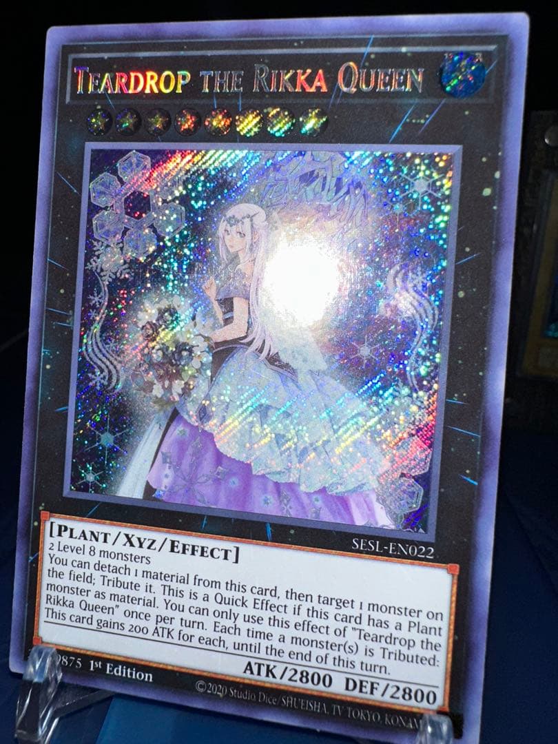 Yu-Gi-Oh Raiden, the Ajani's Captain — Japanese