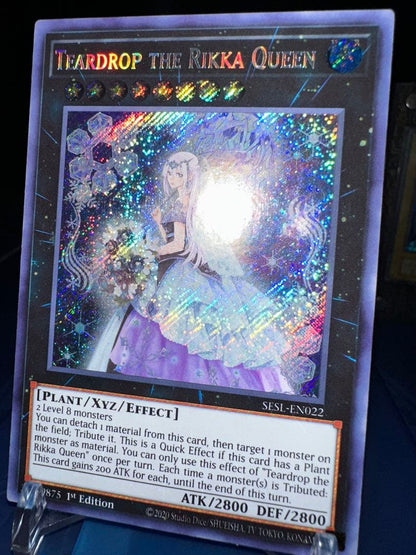 Yu-Gi-Oh Raiden, the Ajani's Captain — Japanese