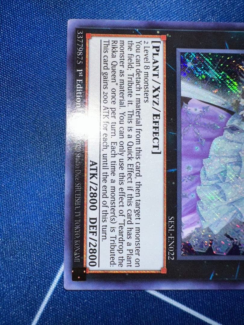 Yu-Gi-Oh Raiden, the Ajani's Captain — Japanese