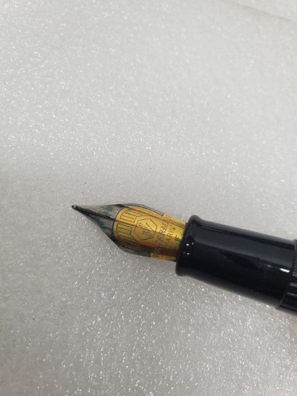 WATERMAN fountain pen and ballpoint pen set with stained and scratched case