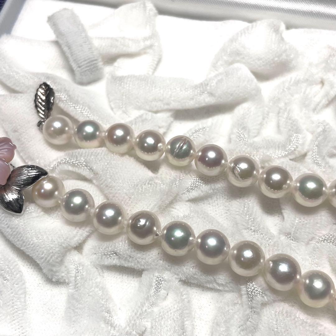 Akoya pearl necklace featuring 7.0-7.4mm pearls and 50cm length displayed on white background