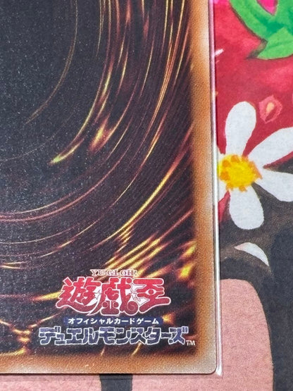 Yu-Gi-Oh Galaxy-Eyes Tachyon Dragon — CP-JPS06 — Japanese