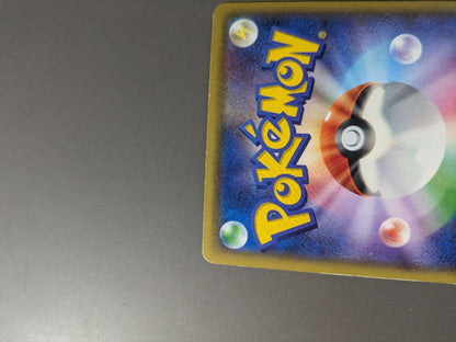 Pokemon Charizard ex — XY Series Other Items — Japanese