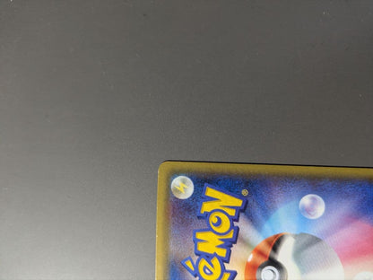 Pokemon Charizard ex — XY Series Other Items — Japanese