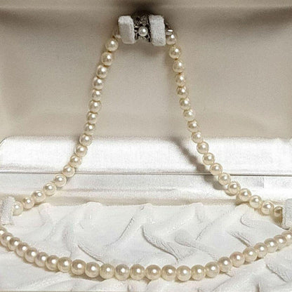 Aqoya pearl necklace featuring white pearls and silver SV925 chain, 45 cm long, pearls sized 5.9 to 6.3 mm