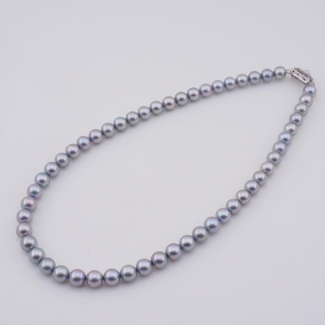Tasaki Akoya 7.8mm gray pearl necklace on 42cm silver chain with polished finish and clasp detail