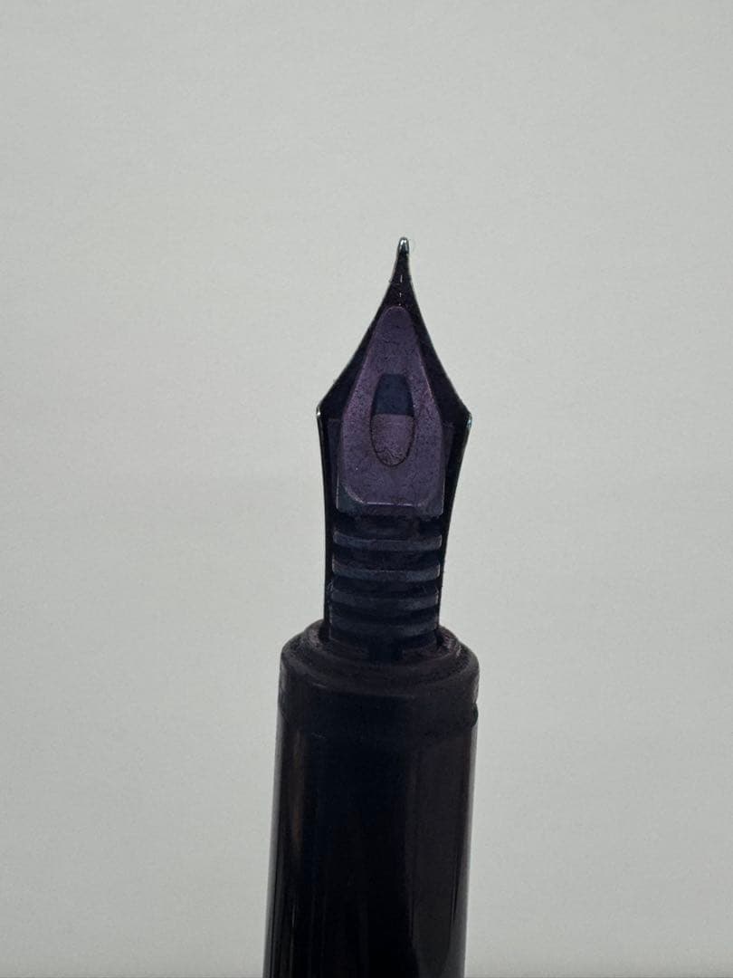 Close-up of PILOT Fountain Pen featuring a 14K gold nib on a white background