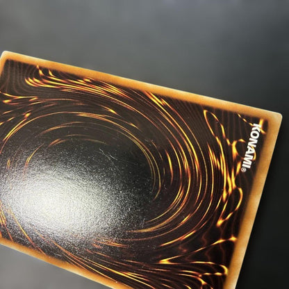 Yu-Gi-Oh Naturia Beast — Japanese