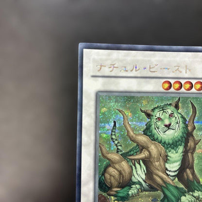 Yu-Gi-Oh Naturia Beast — Japanese