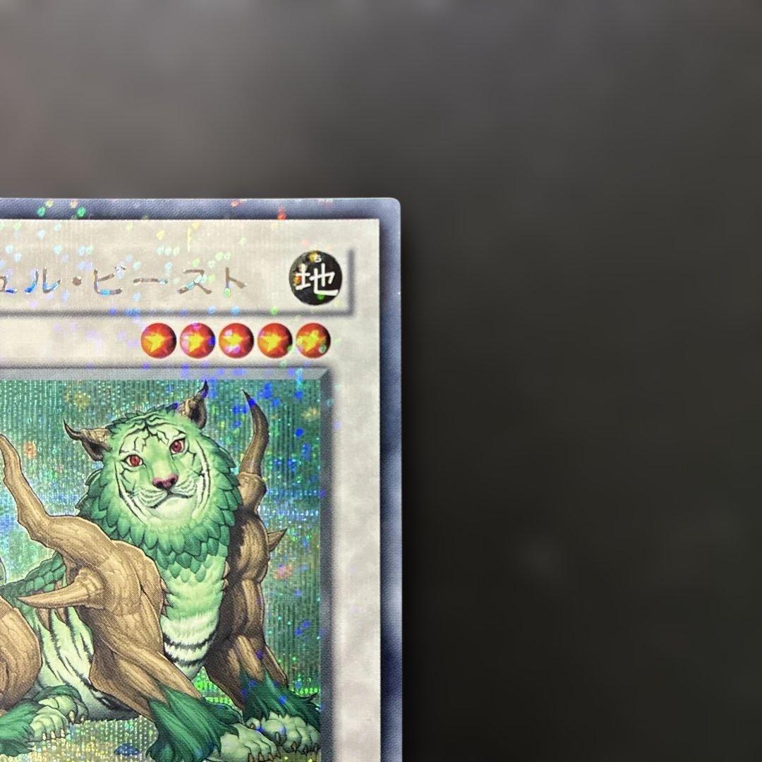Yu-Gi-Oh Naturia Beast — Japanese