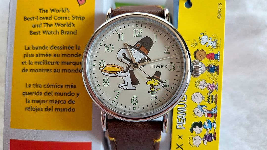 TIMEX SNUPEE Quartz Men's Watch — Japanese