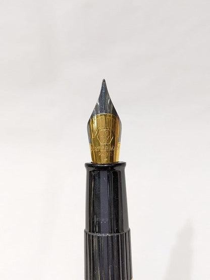WATERMAN Philéas fountain pen with blue marble finish and gold trim displayed next to its dedicated case