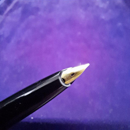 PILOT Fountain Pen 14K Gold S-80V DX27 with cap on, measuring 14.5 cm length