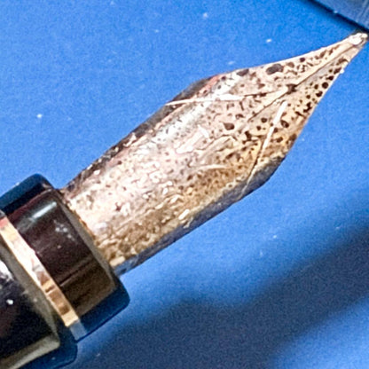 Waterman Expert DX White CT fountain pen with fine nib, storage case, converter, cartridges, and original box