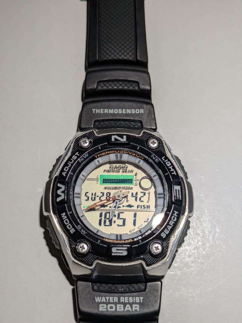 CASIO AQW-101 Quartz Men's Watch — Japanese