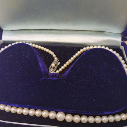 Old Mikimoto genuine pearl necklace with 7mm pearls measuring 38 cm in length