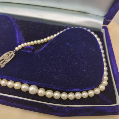 Old Mikimoto genuine pearl necklace with 7mm pearls measuring 38 cm in length
