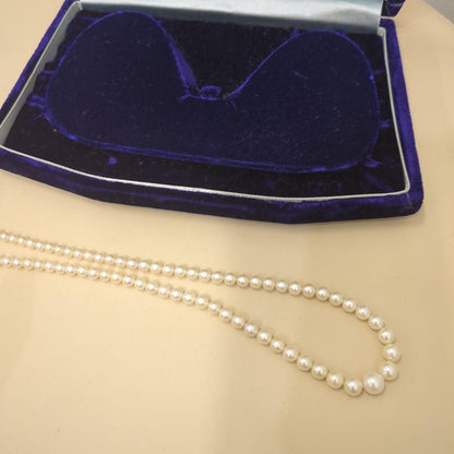 Old Mikimoto genuine pearl necklace with 7mm pearls measuring 38 cm in length