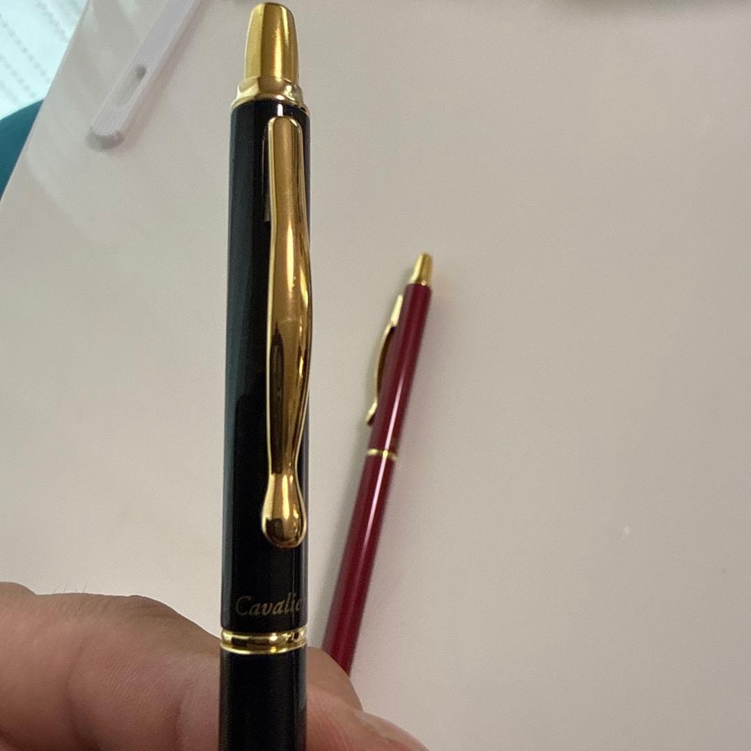 PILOT Cavalier ballpoint pen 2-piece set with slim black and bordeaux pens and gold clips